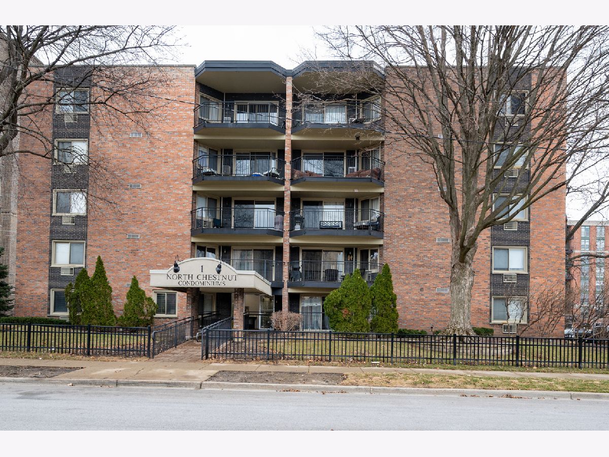  Rented Arlington Heights Illinois, 1 Chestnut