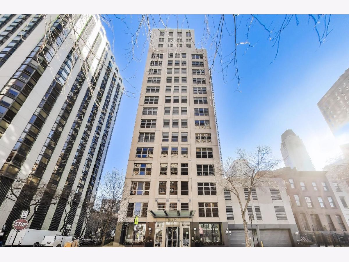 Condominiums For Sale Maple Tower Chicago Illinois, 1035 Dearborn Street