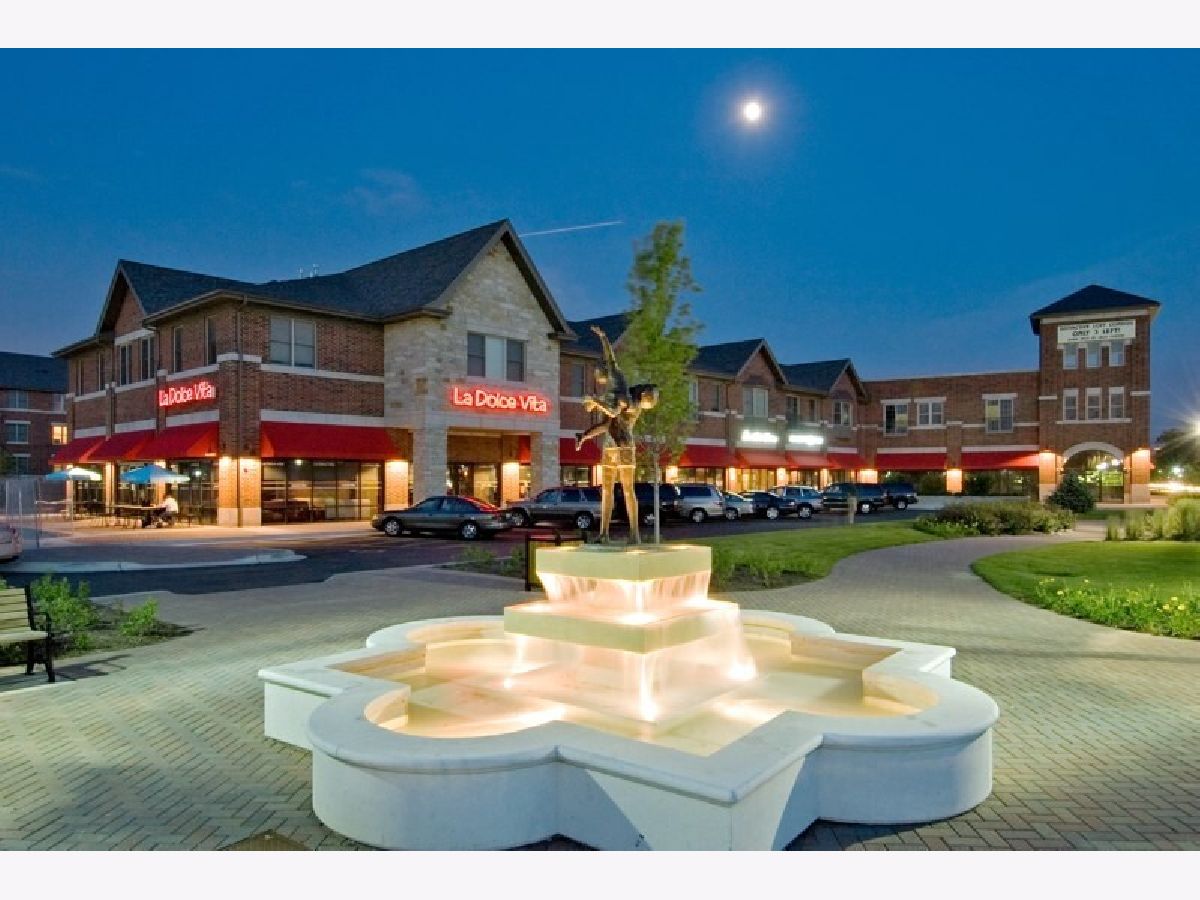 Condominiums For Sale Bartlett Town Center Bartlett Illinois, 241 Main Street