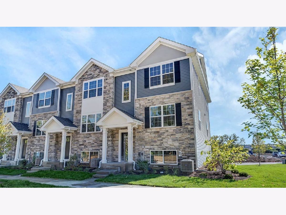 Condos & Townhomes & Homes For Sale The Grasslands Bartlett Illinois, 1336 Foxglove Drive