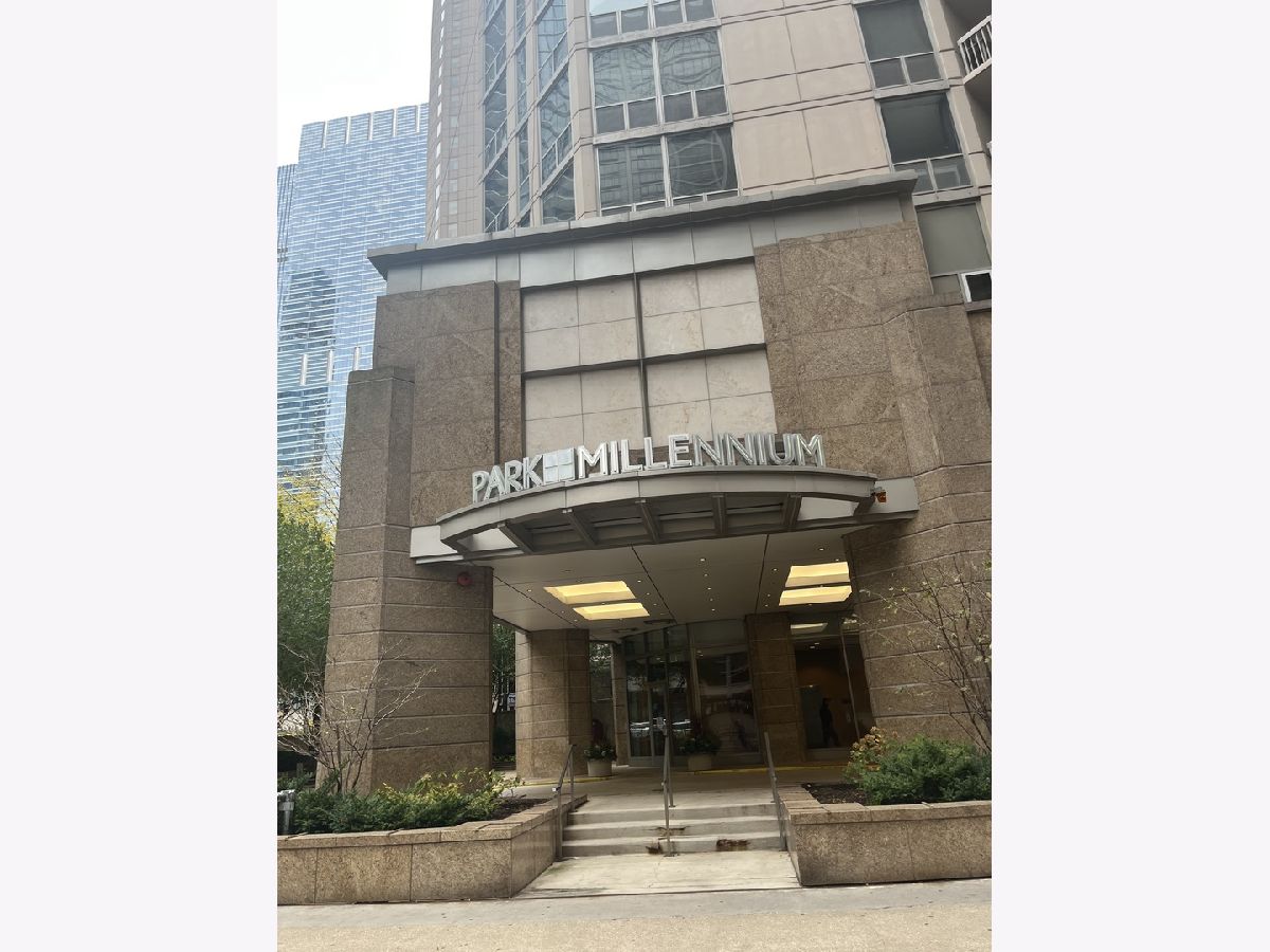 Condominiums For Sale Park Millennium Chicago Illinois, 222 Columbus Drive