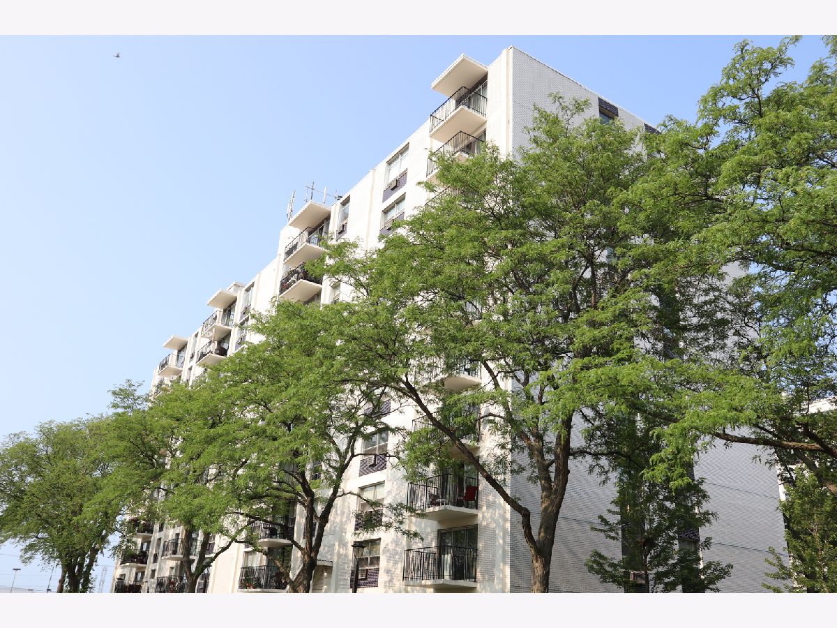  Rented Des Plaines Illinois, 9009 Golf