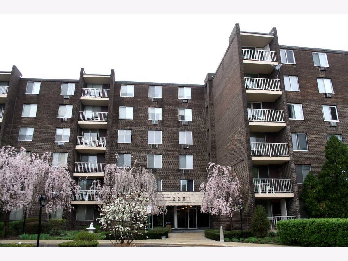  For Rent Palatine Illinois, 225 Rohlwing