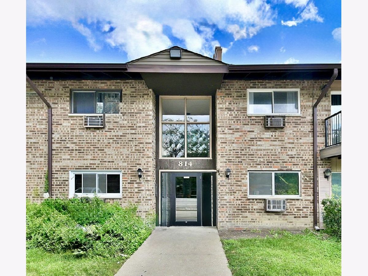  Sold Prospect Heights Illinois, 814 Old Willow