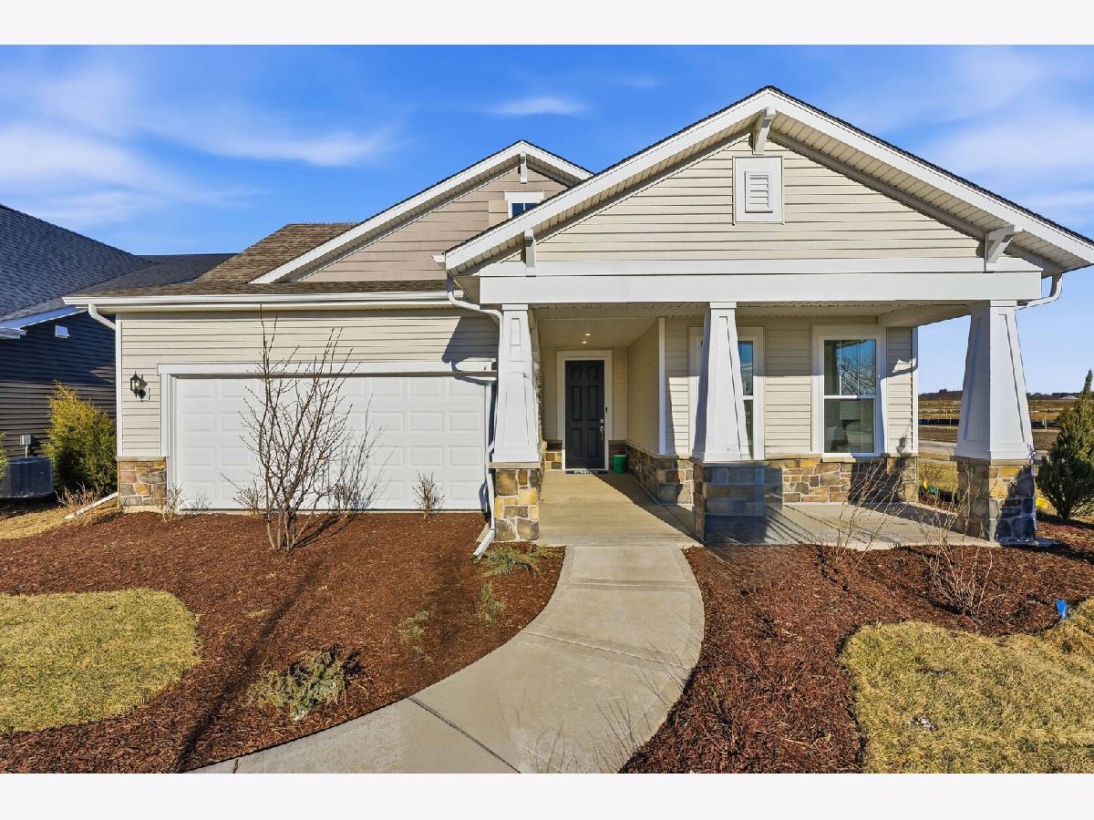 Homes For Sale Teerling Lakes Landings New Lenox Illinois, 2970 Timberlake Avenue