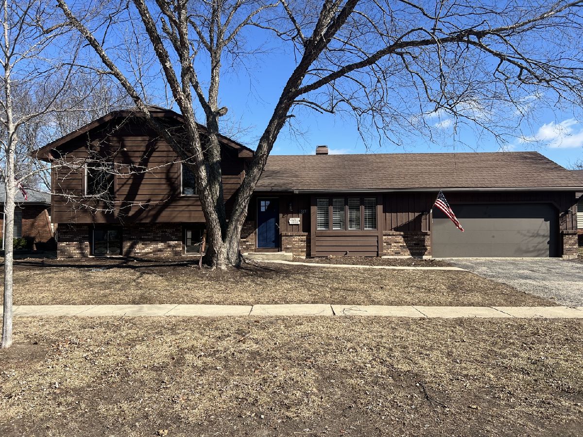  For Sale Elgin Illinois, 527 Lyle Avenue