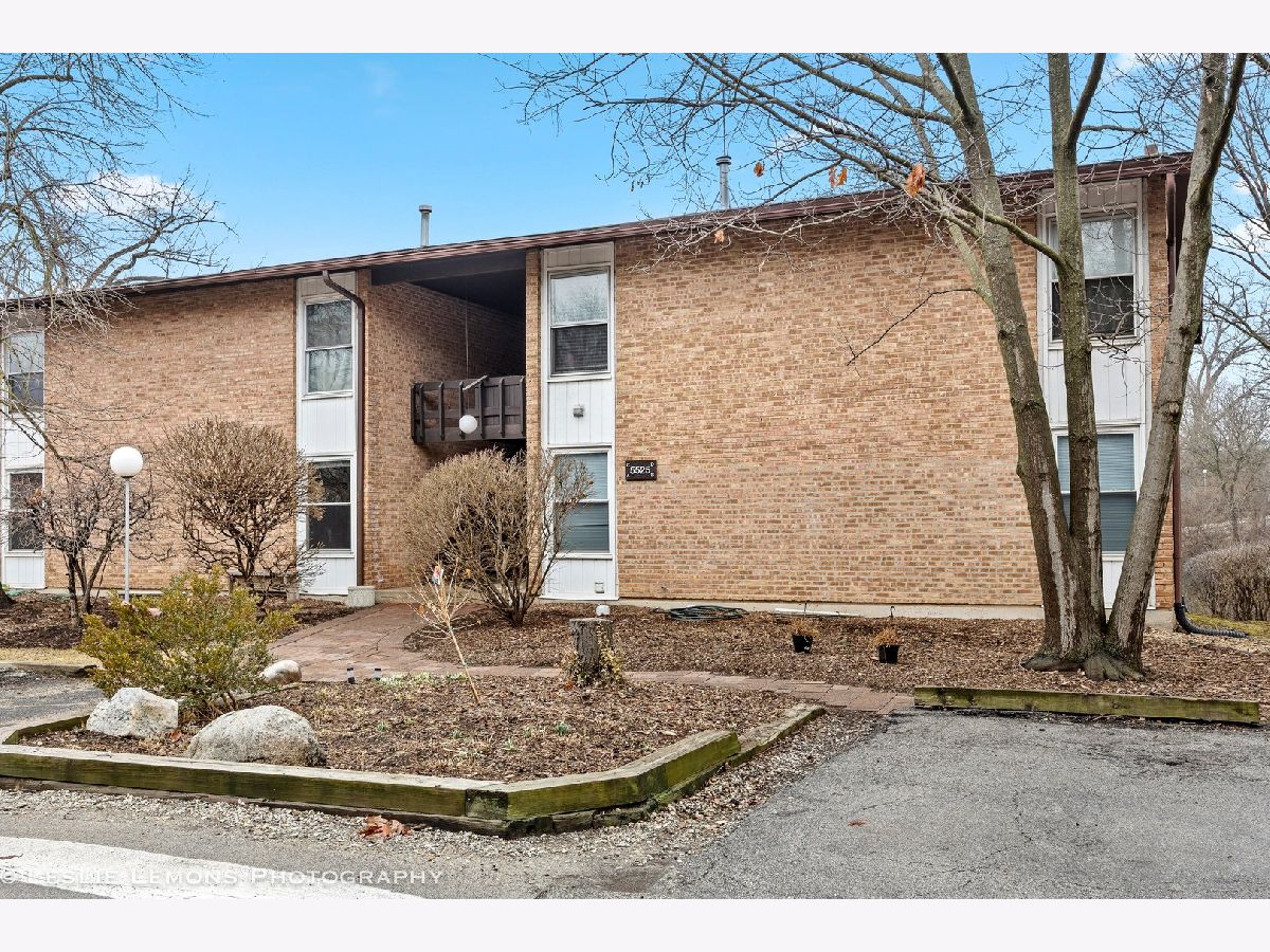 Condos & Townhomes For Sale Four Lakes Lisle Illinois, 5525 Lake Drive