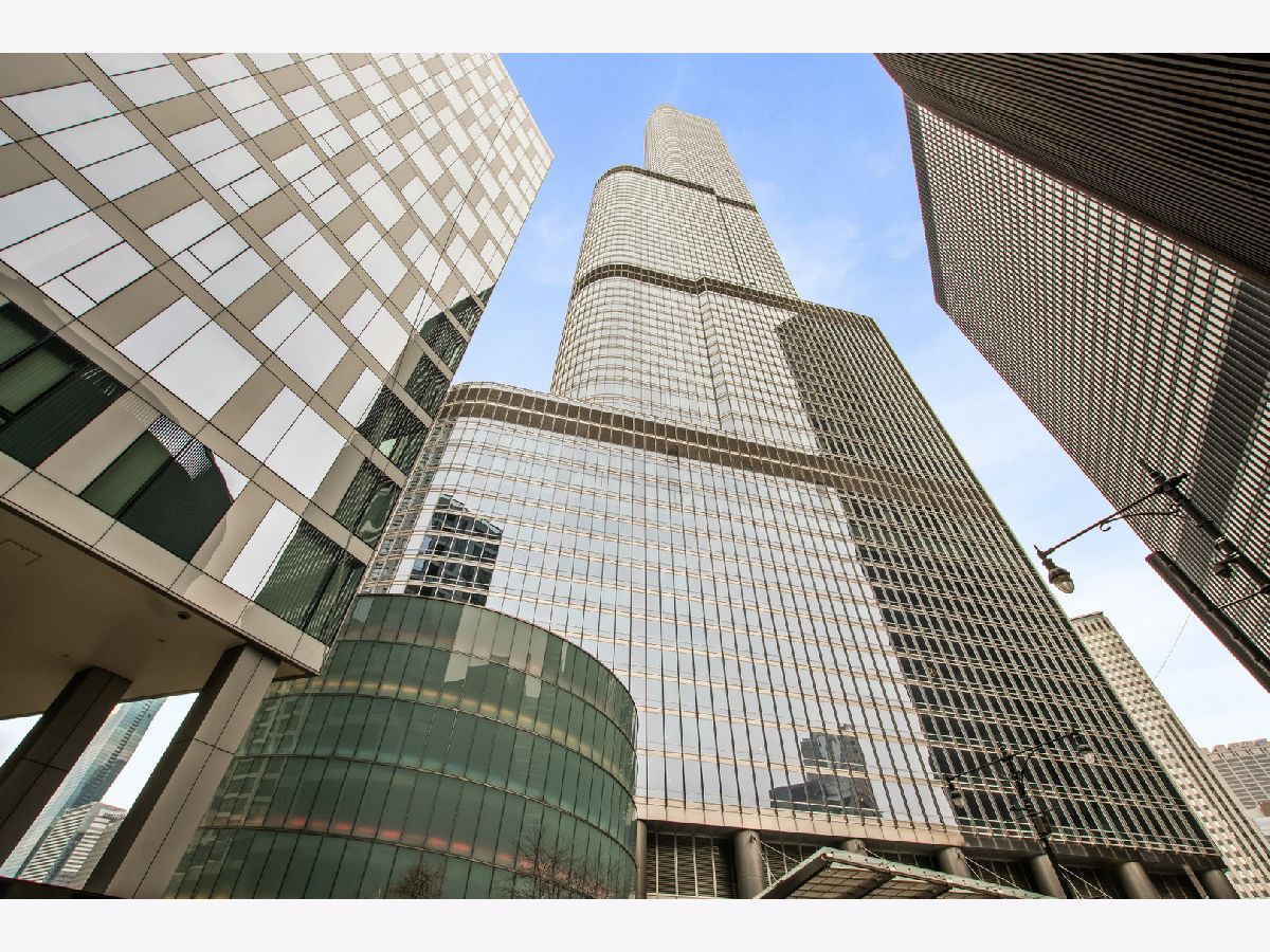 Condominiums For Rent Trump Tower Chicago Chicago Illinois, 401 Wabash