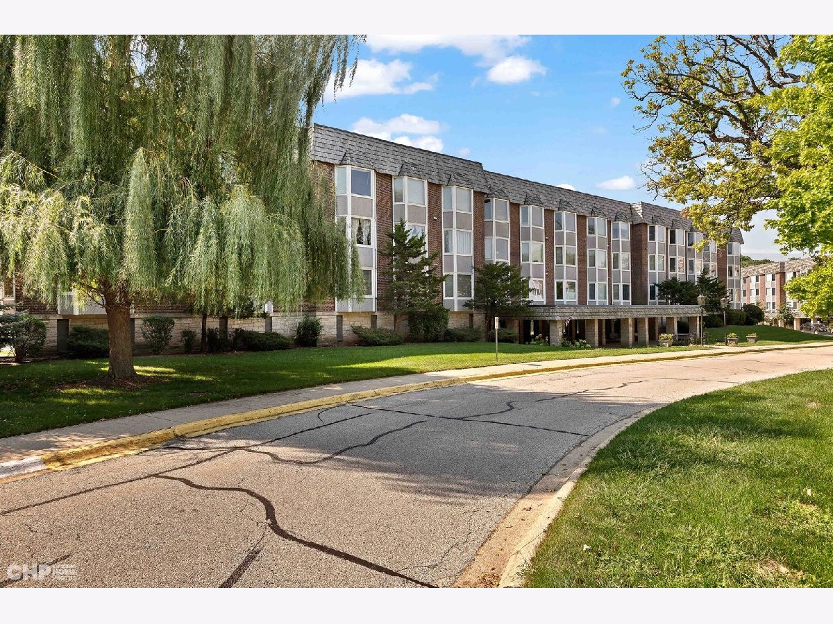  For Rent Park Ridge Illinois, 201 Thames