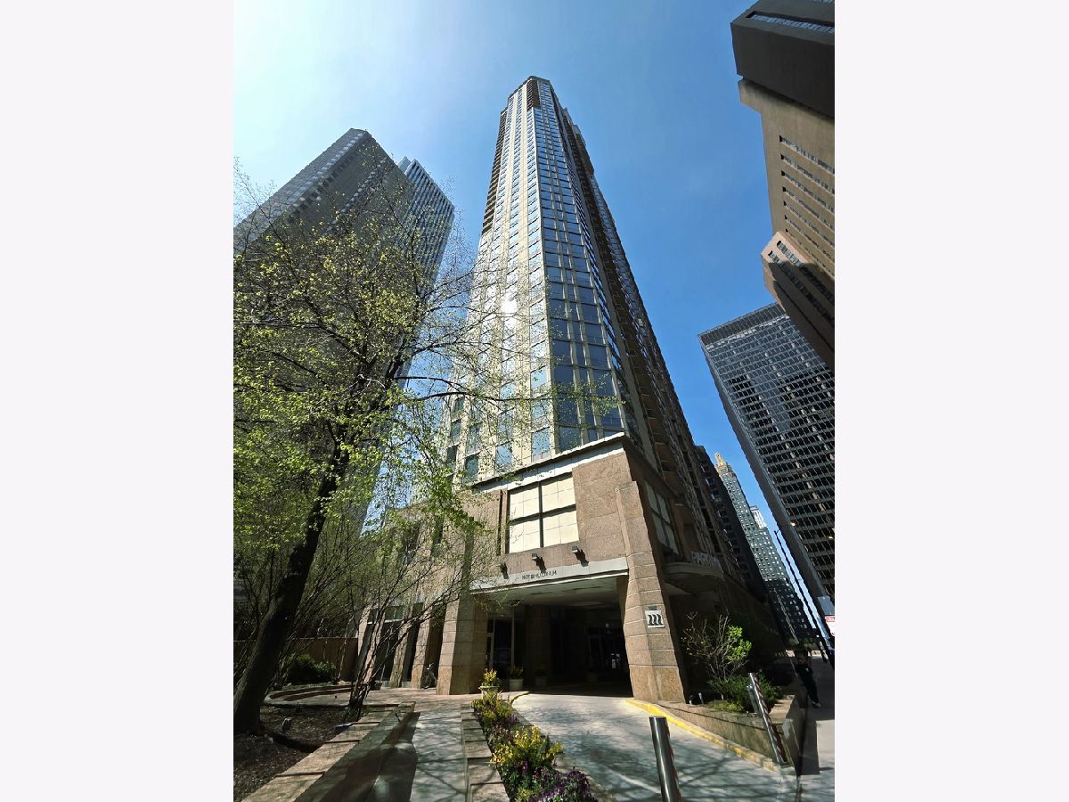 Condominiums For Sale Park Millennium Chicago Illinois, 222 Columbus Drive