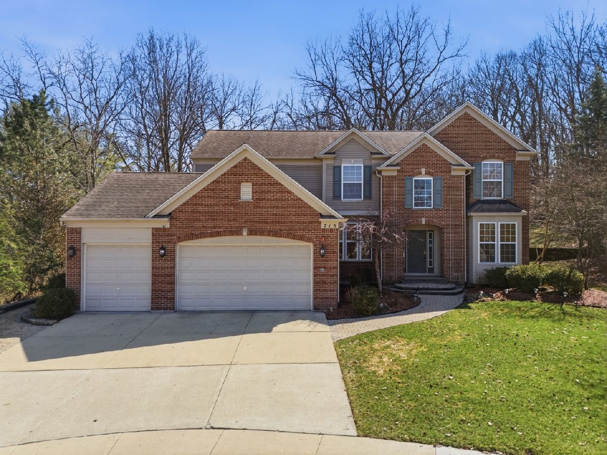  Rented Streamwood Illinois, 715 Blue Ridge