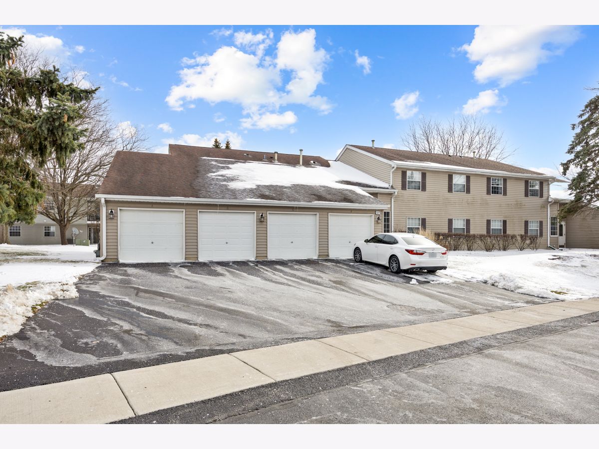  Rented Streamwood Illinois, 527 Shag Bark