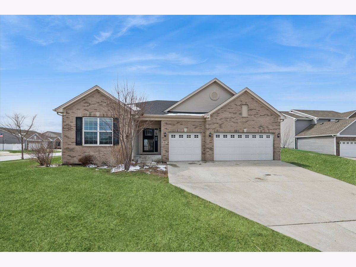  For Sale Minooka Illinois, 807 Back Bay Court