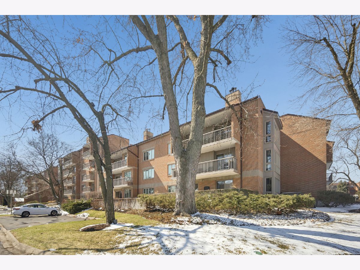 Condos & Townhomes For Sale Park Lane Park Ridge Illinois, 44 Park Lane