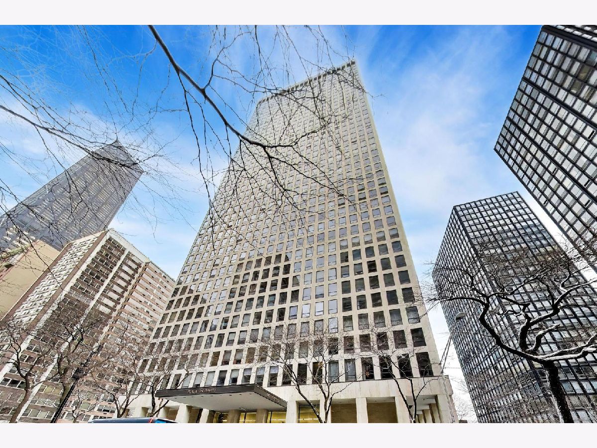 Condominiums For Sale Plaza On Dewitt Chicago Illinois, 260 Chestnut Street