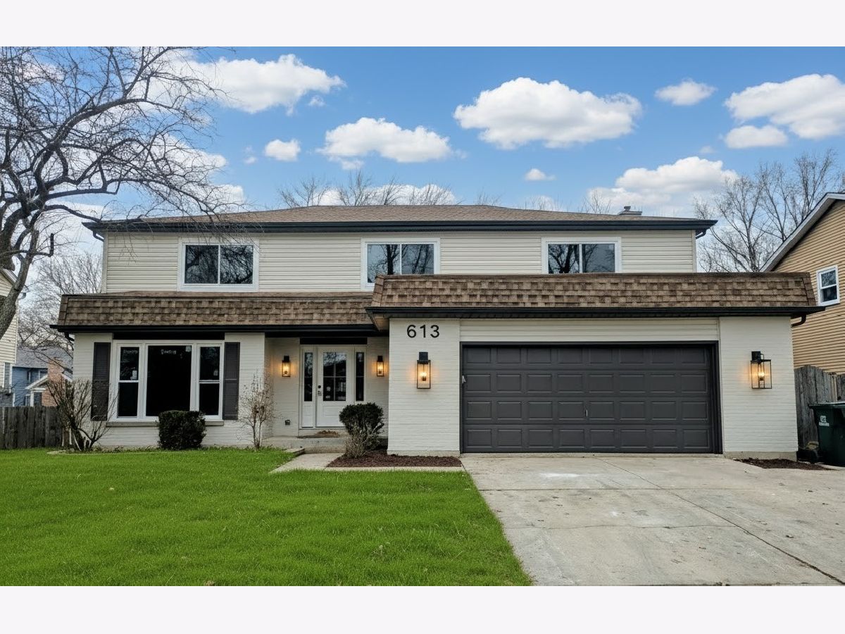 Homes & Condos & Townhomes For Sale Creekside Naperville Illinois, 613 Zaininger Avenue