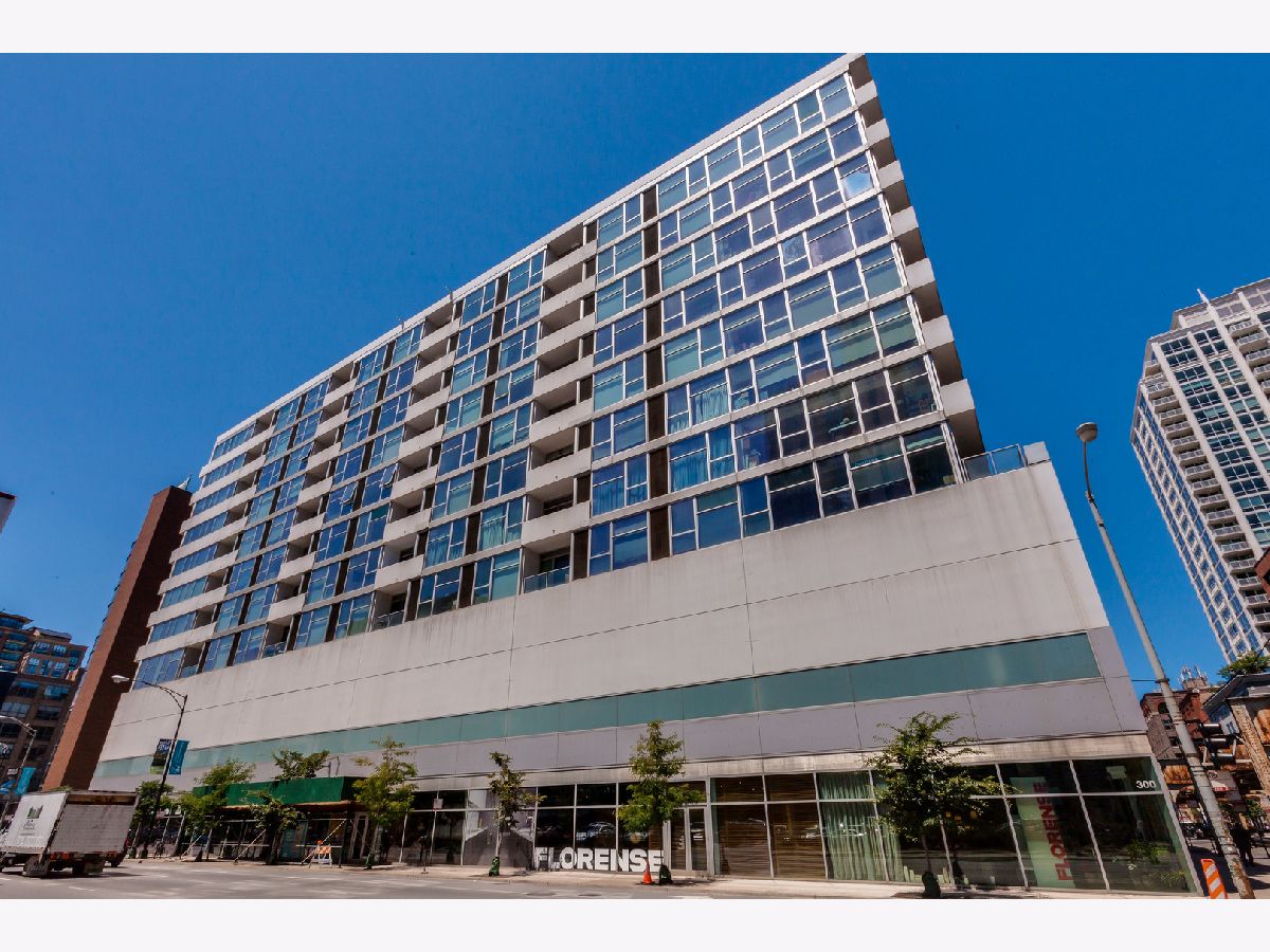 Condos & Townhomes & Homes Rented River North Chicago Illinois, 630 Franklin