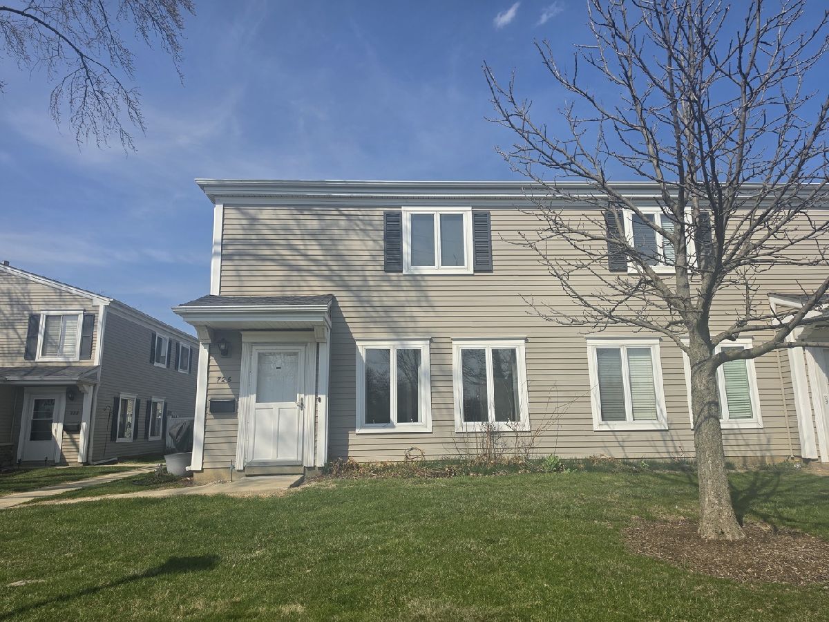 Townhomes & Condos For Sale Quincy Park Prospect Heights Illinois, 726 Old Willow Road