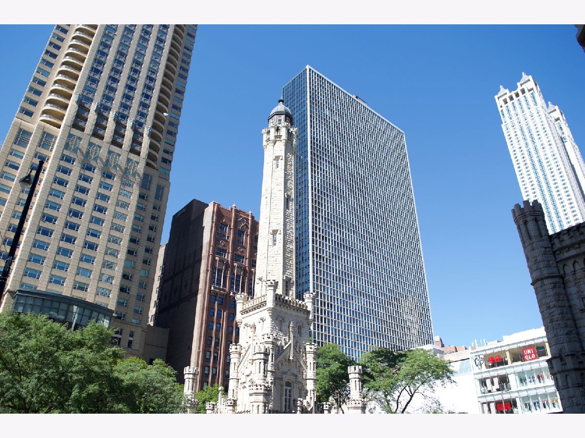  For Rent Chicago Illinois, 111 Chestnut