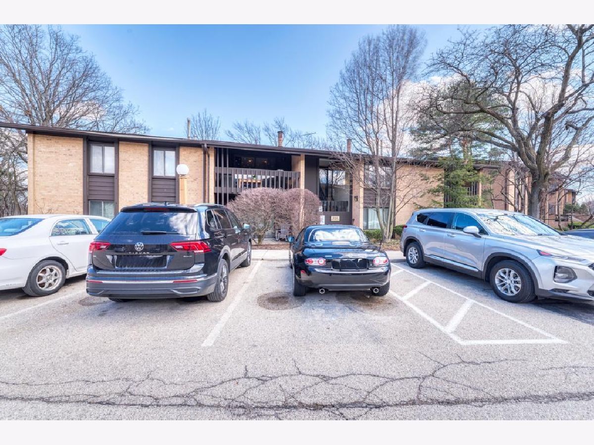  For Rent Willowbrook Illinois, 6103 Knoll Valley