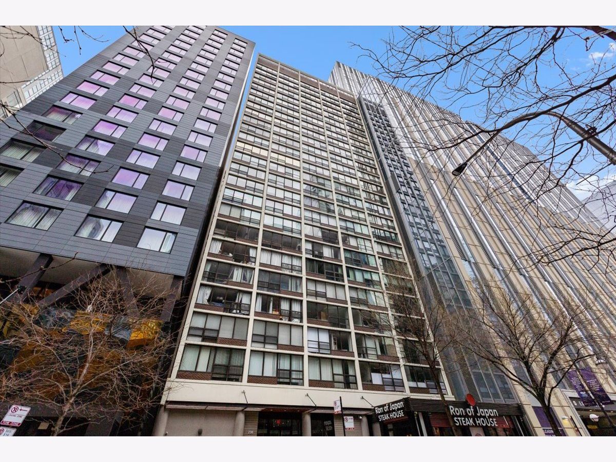  For Sale Chicago Illinois, 230 Ontario Street