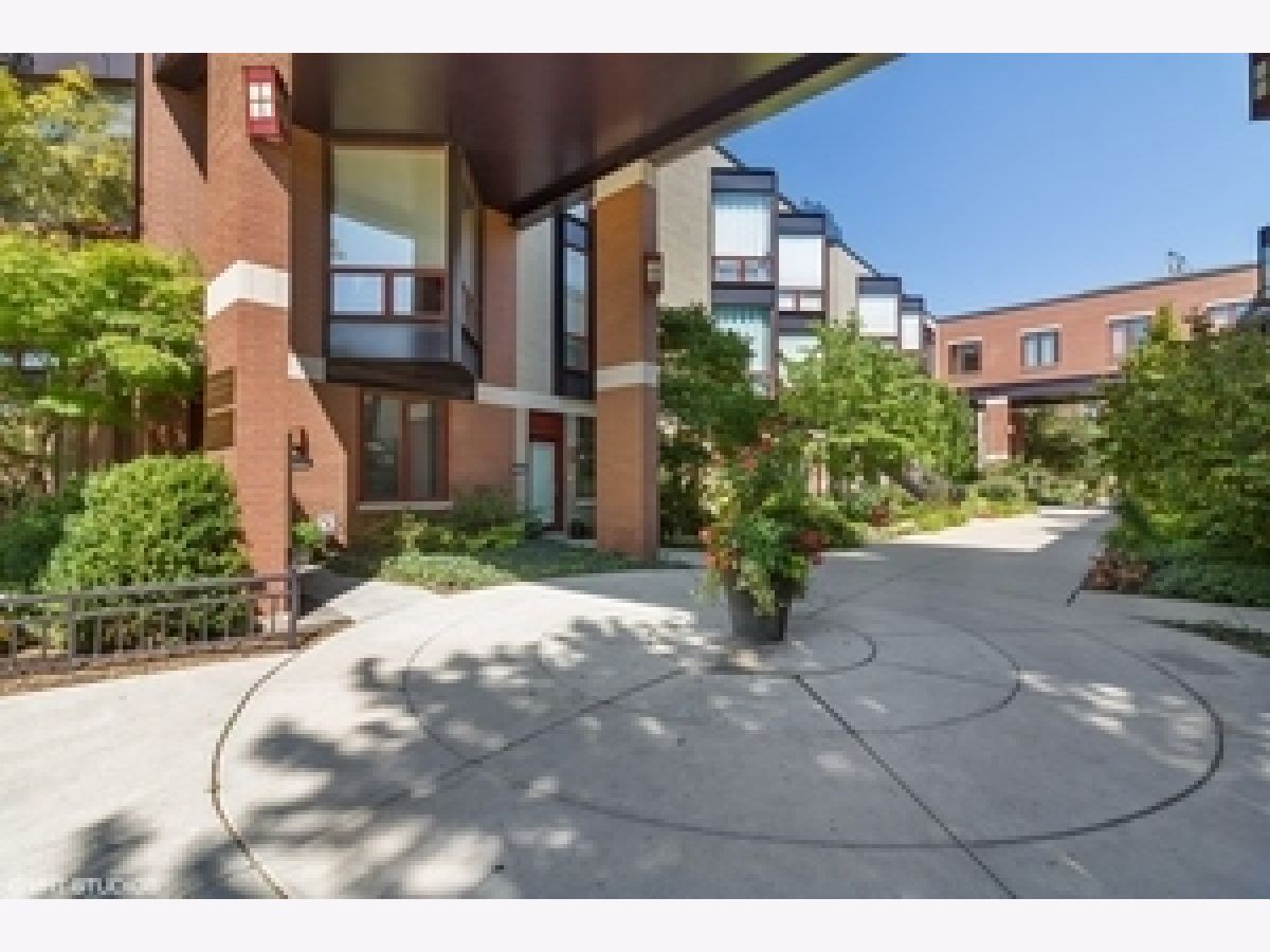 Townhomes & Condos For Rent Daily News Townhomes Chicago Illinois, 1240 Cottage