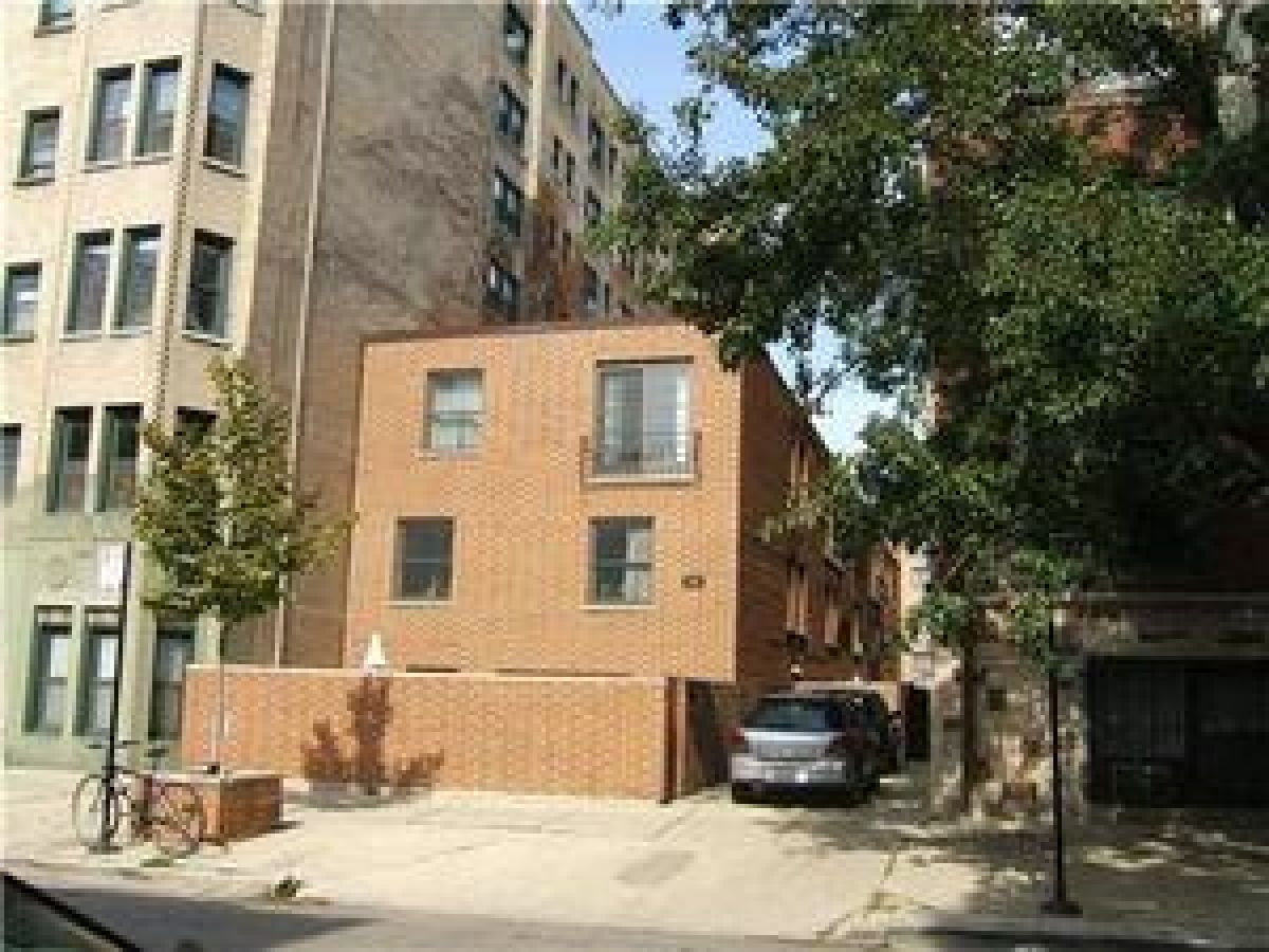  Rented Chicago Illinois, 542 Arlington