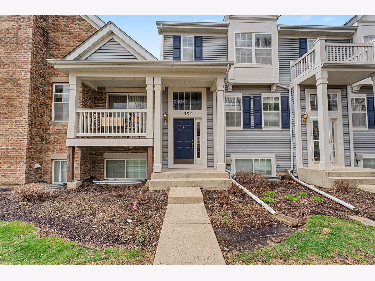 Homes & Townhomes Rented Symphony Meadows Volo Illinois, 534 Richard Brown