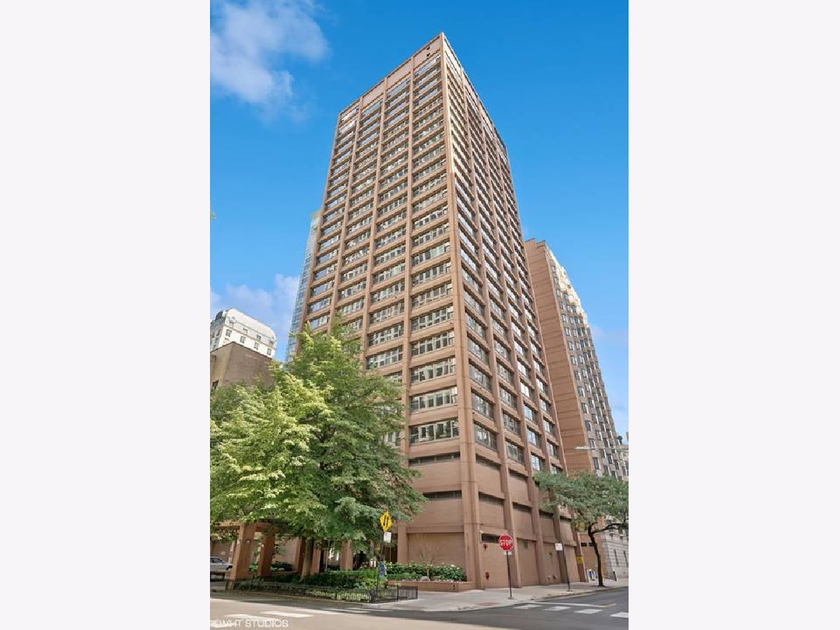  For Rent Chicago Illinois, 247 Chestnut