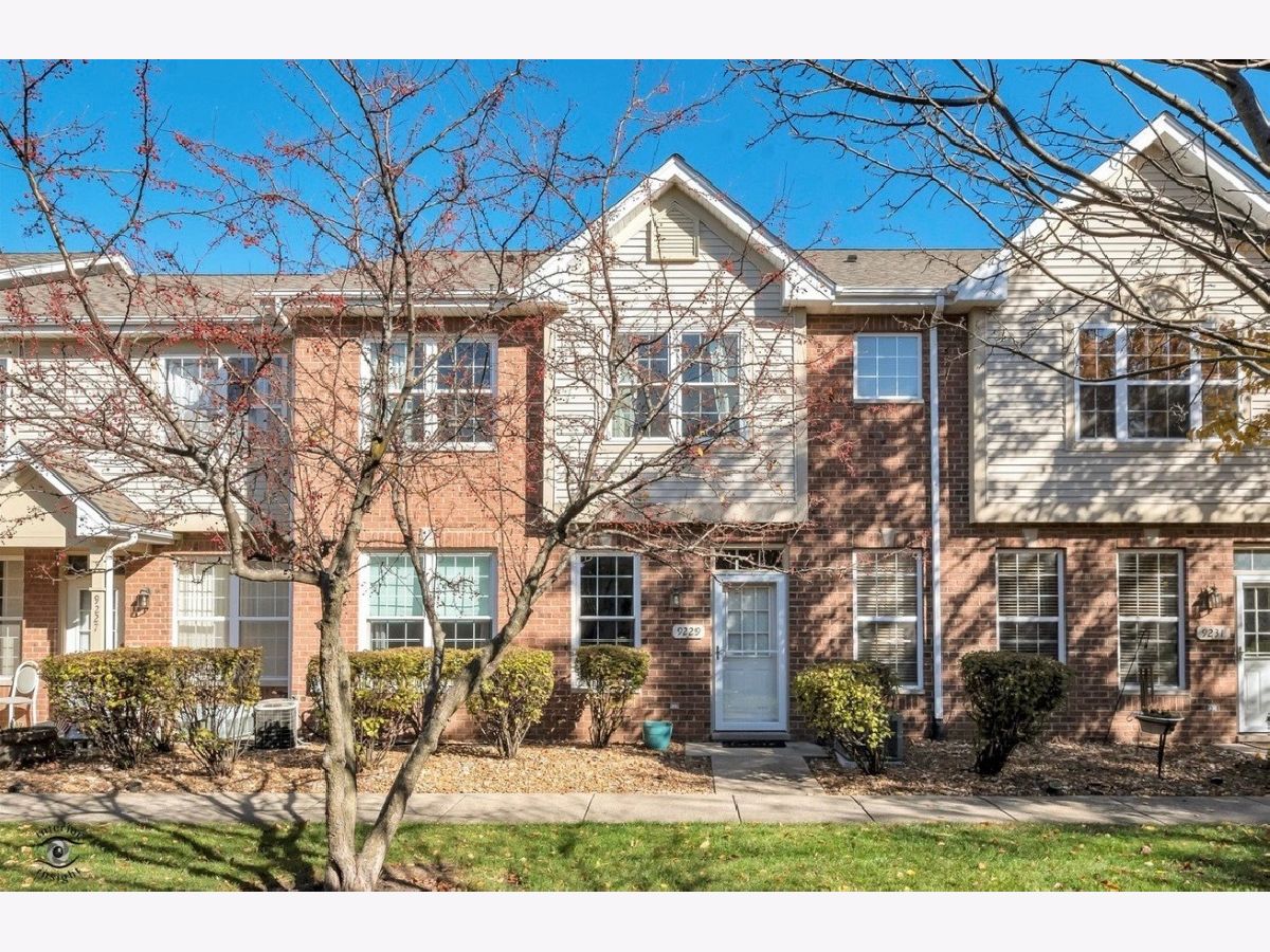 Townhomes For Rent Burnside Station Mokena Illinois, 9229 Arquilla