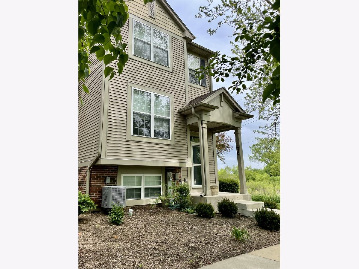  Rented Grayslake Illinois, 951 Ellsworth