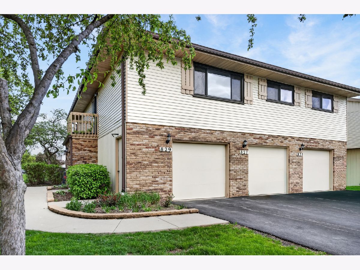 Townhomes & Homes For Sale Weathersfield North Schaumburg Illinois, 829 Dighton Lane