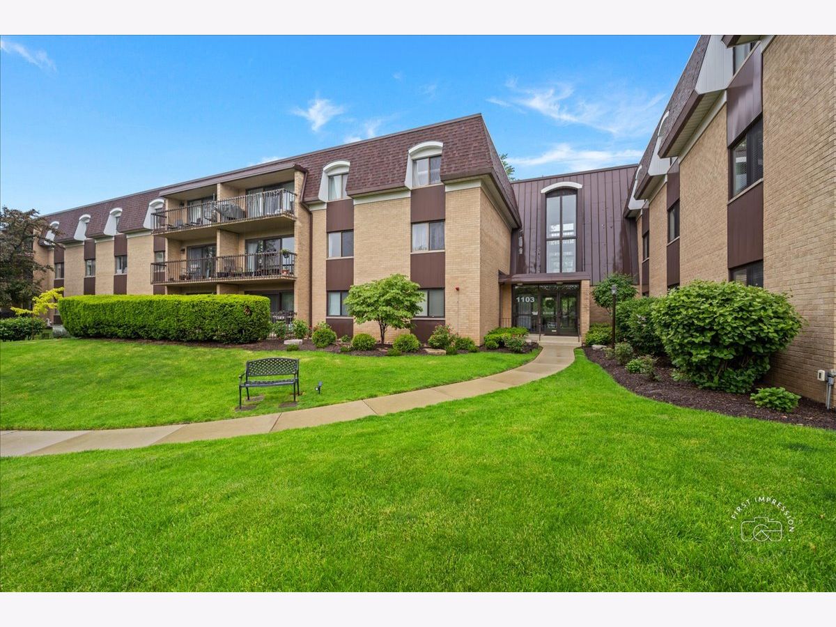  For Sale Naperville Illinois, 1103 Mill Street