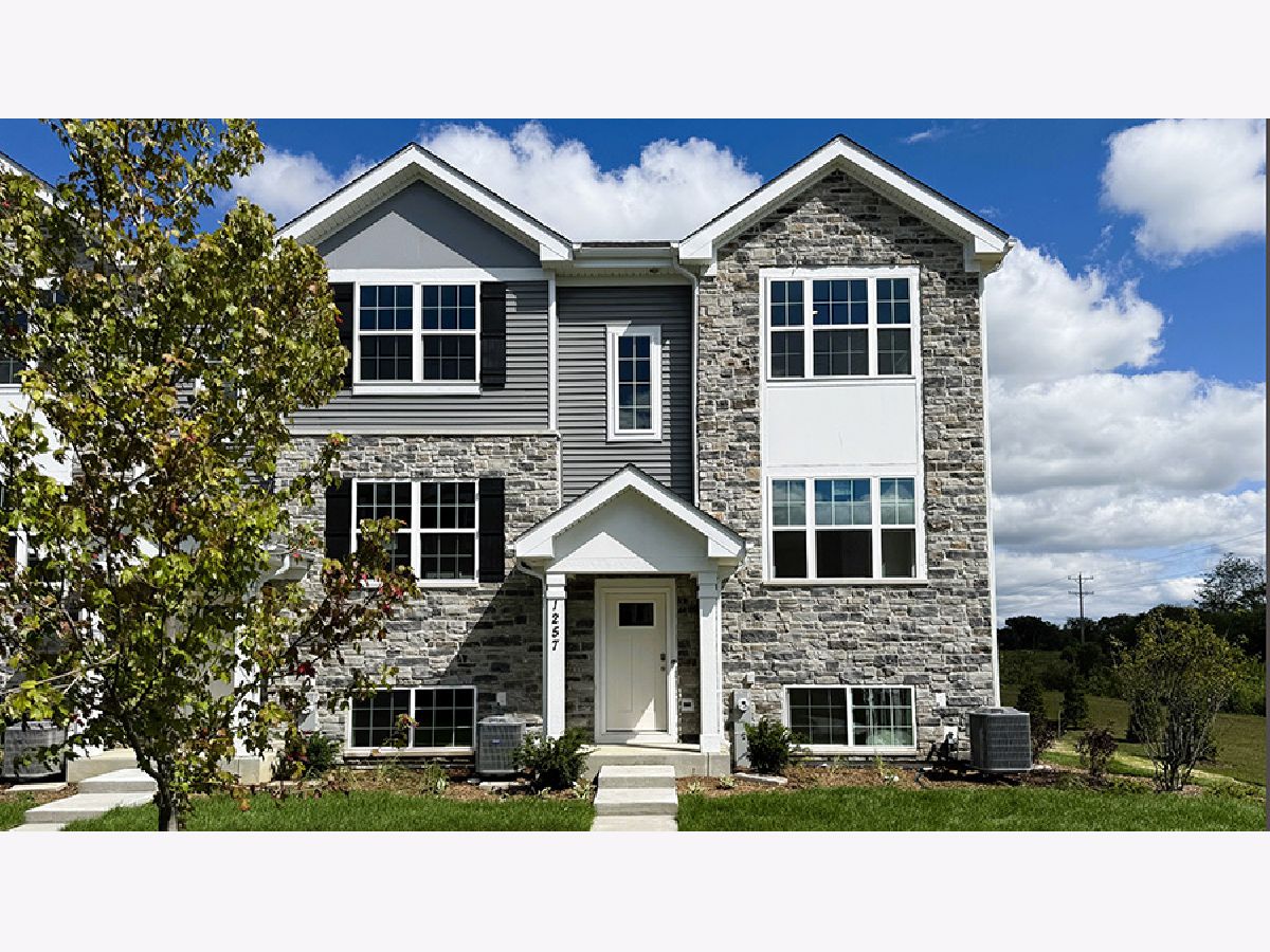 Condos & Townhomes & Homes For Sale The Grasslands Bartlett Illinois, 1295 Foxglove Drive