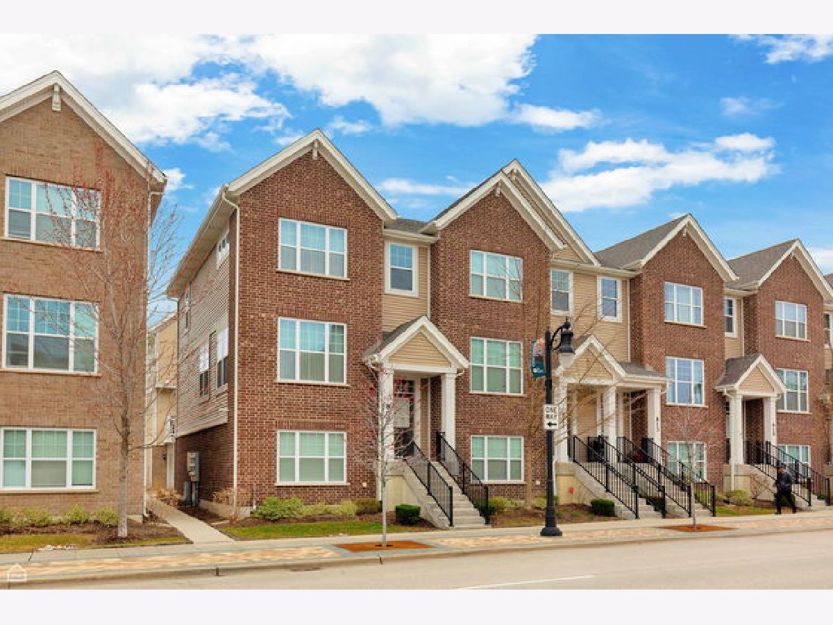  For Rent Des Plaines Illinois, 809 Lee