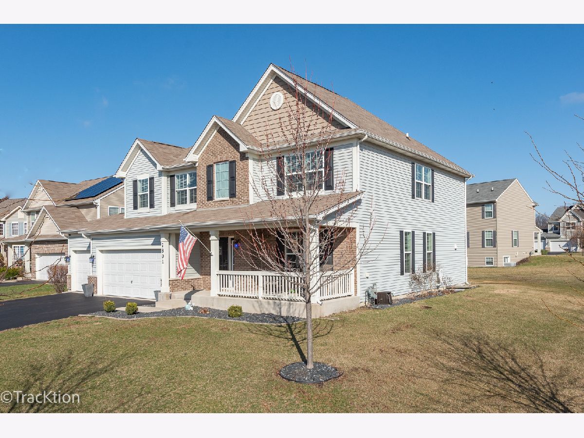 Homes & Townhomes For Sale Lakewood Prairie Joliet Illinois, 7801 Jewelflower Court