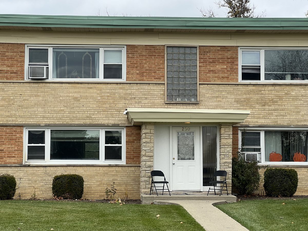  For Rent Palatine Illinois, 236 Johnson