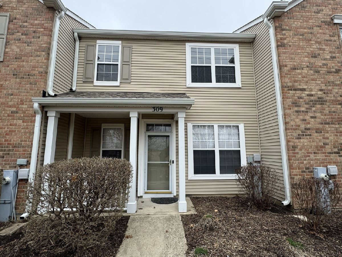  Rented Oswego Illinois, 309 Springbrook