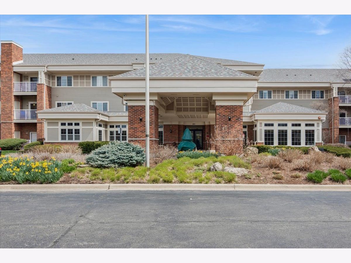  For Rent Elgin Illinois, 801 Mclean