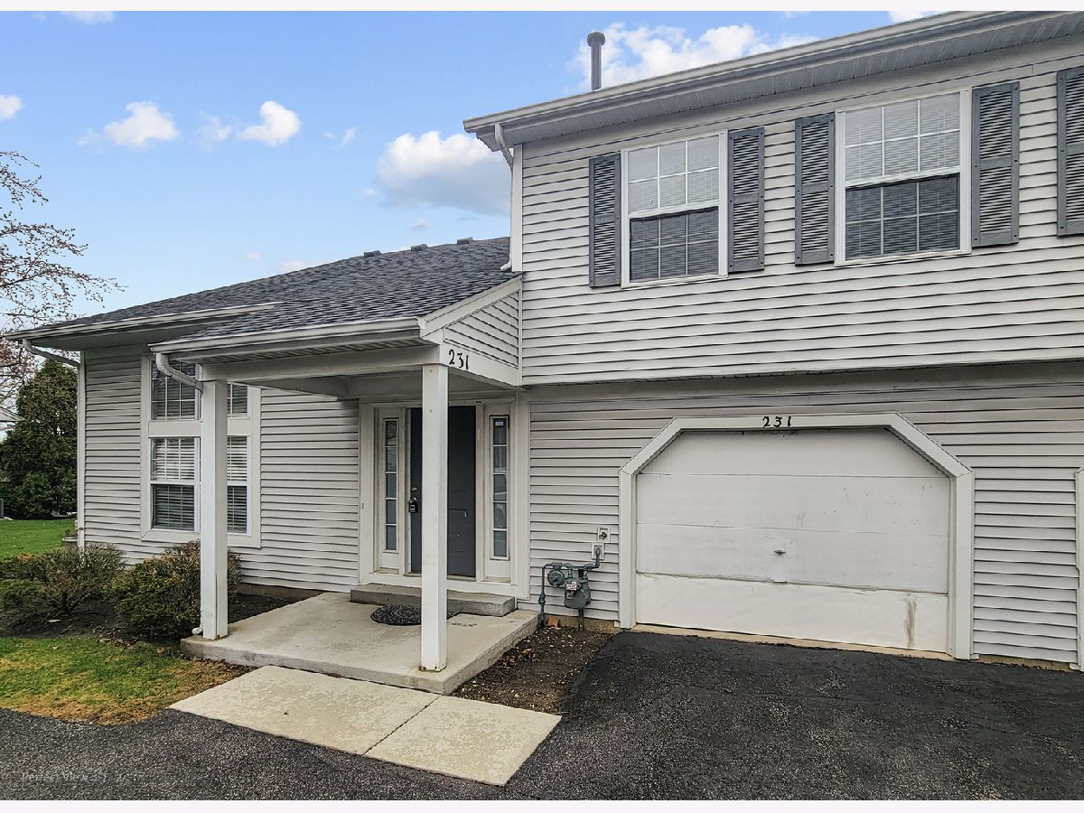  For Rent Streamwood Illinois, 231 Ivy