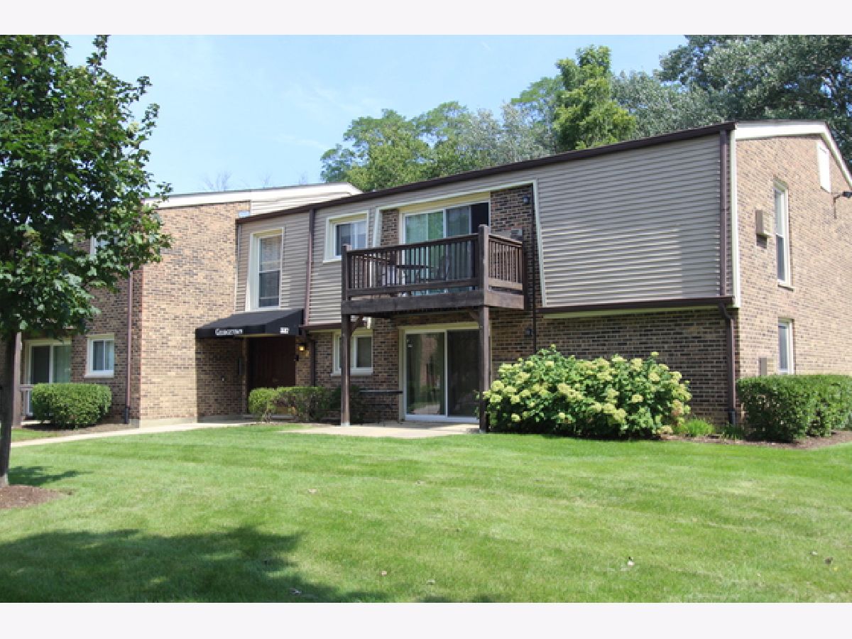  For Rent Palatine Illinois, 337 Carter