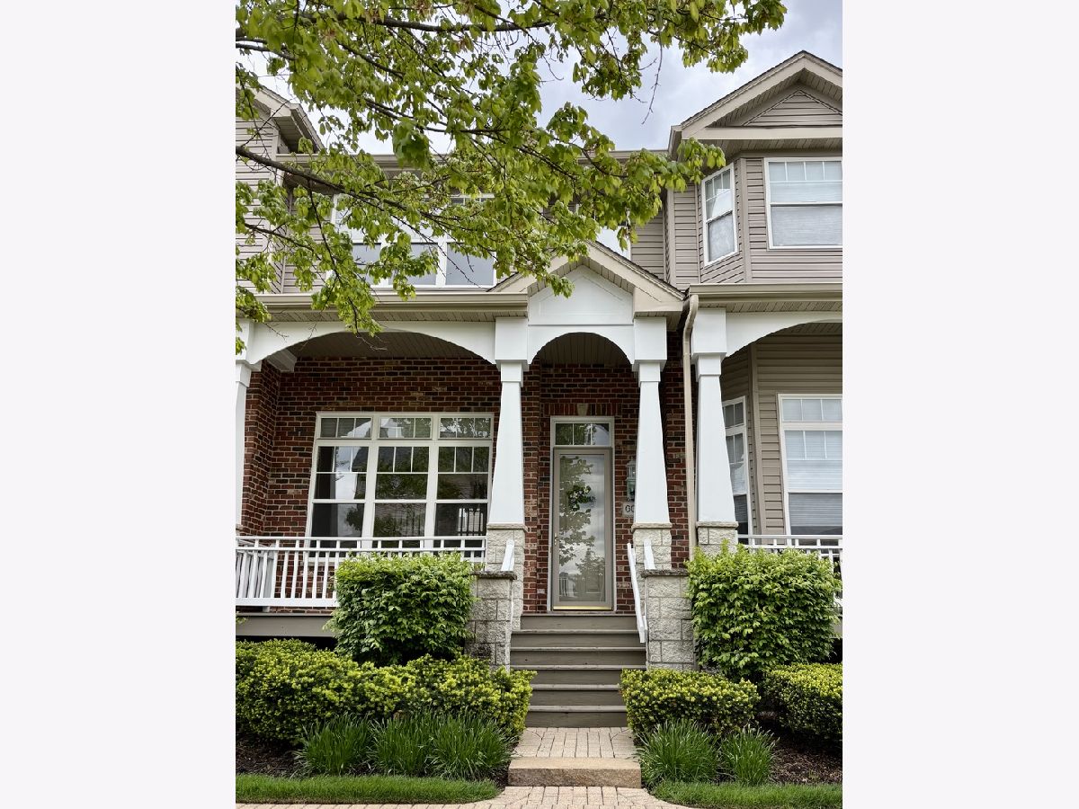  For Sale Lisle Illinois, 6069 River Bend Drive