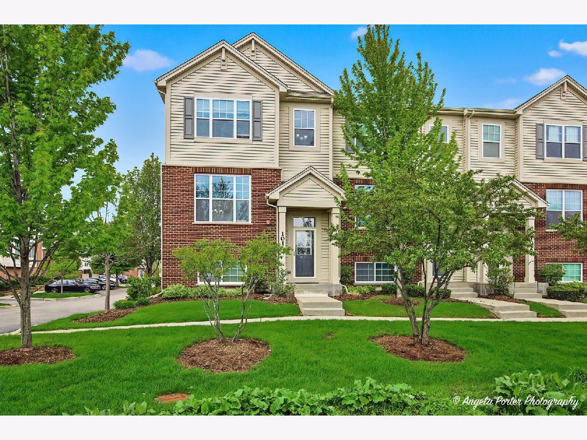  Rented Rolling Meadows Illinois, 101 Lexington