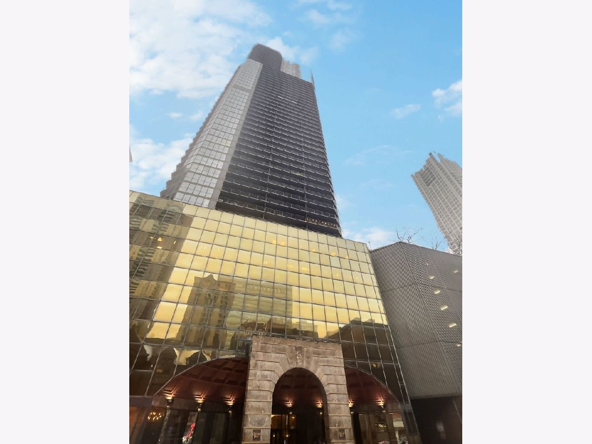 Condominiums For Rent Ontario Place Chicago Illinois, 10 Ontario