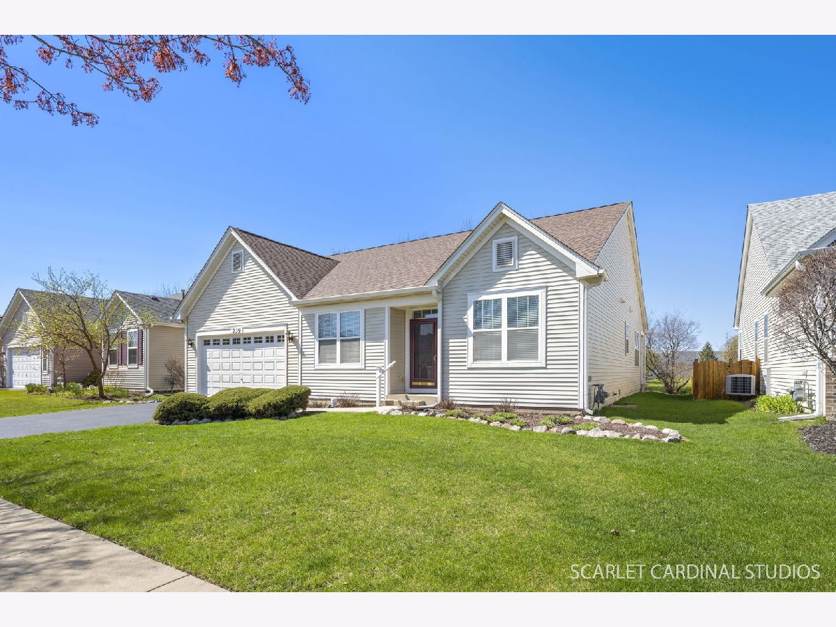 Homes & Condos & Townhomes For Sale Steeplechase Oswego Illinois, 739 Bohannon Circle