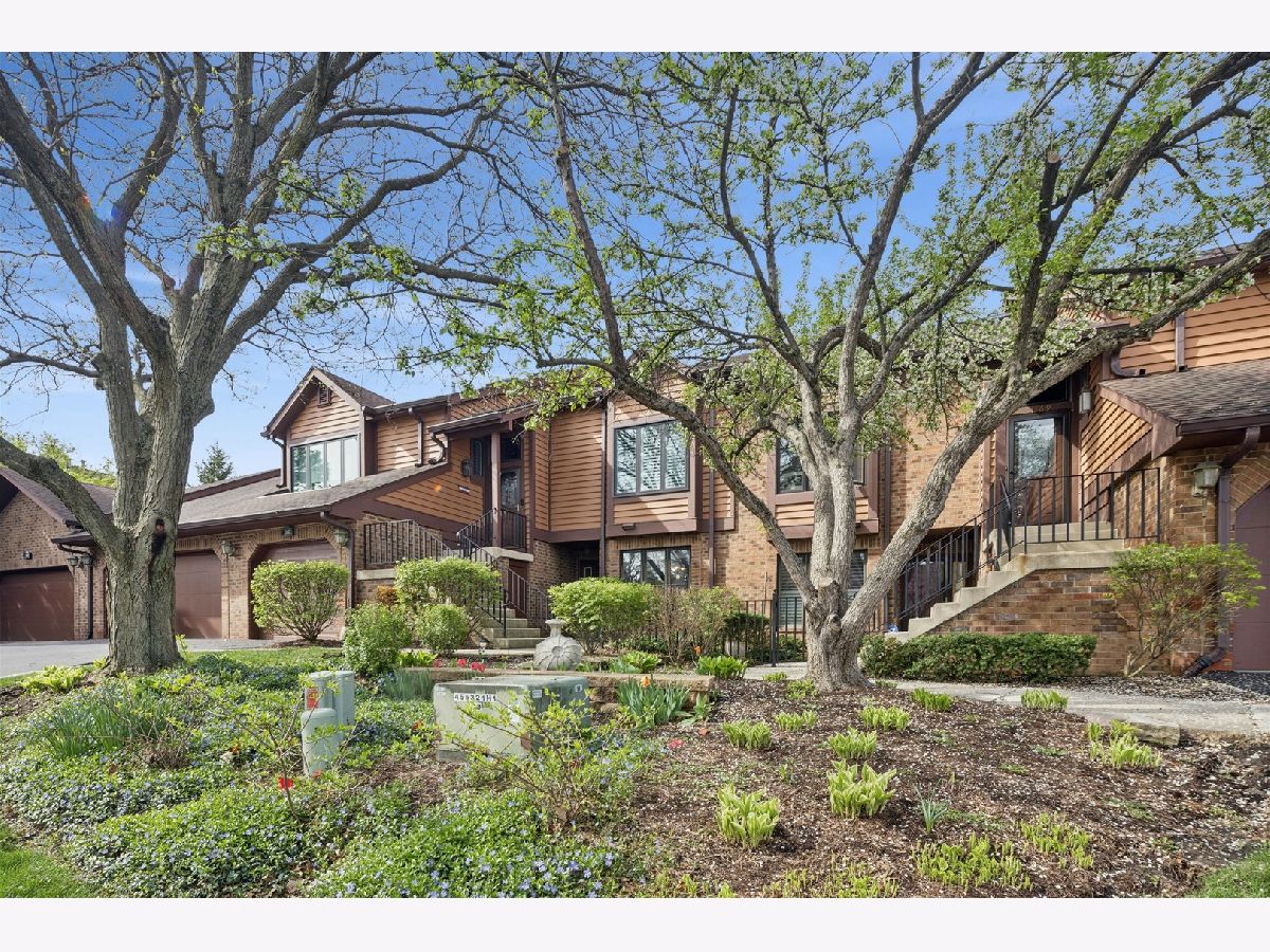  Sold Downers Grove Illinois, 1163 Mistwood