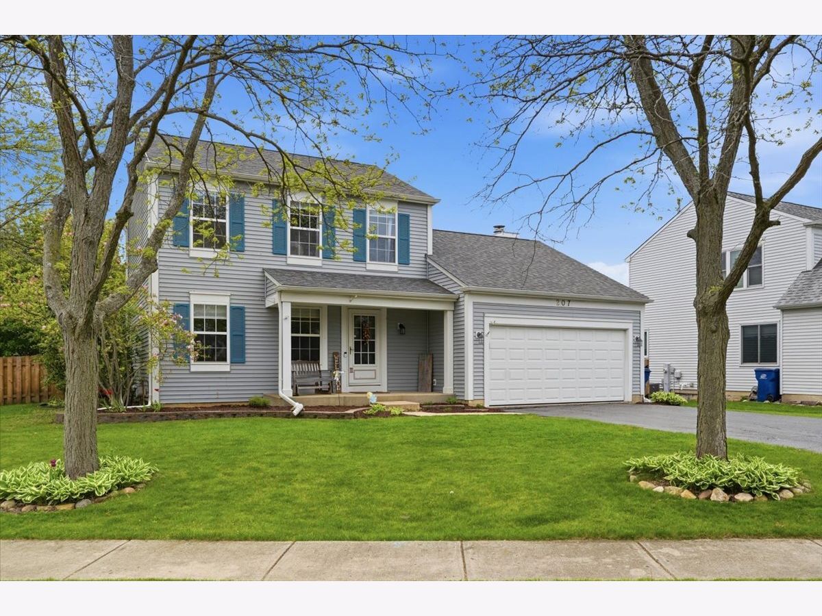 Homes For Sale Savanna Springs Lake Villa Illinois, 207 Briar Ridge Lane