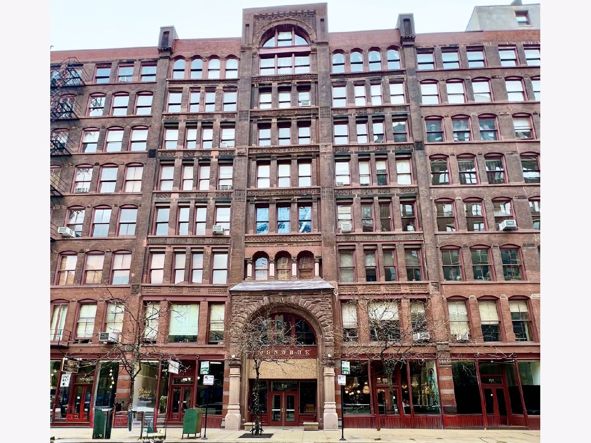 Condominiums For Rent Printers Row Chicago Illinois, 711 Dearborn