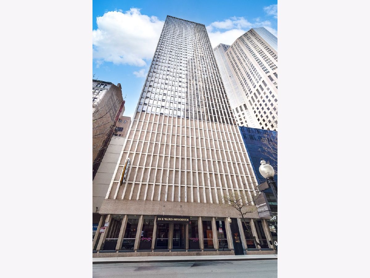 Condominiums For Sale Walton Colonade Chicago Illinois, 100 Walton Street