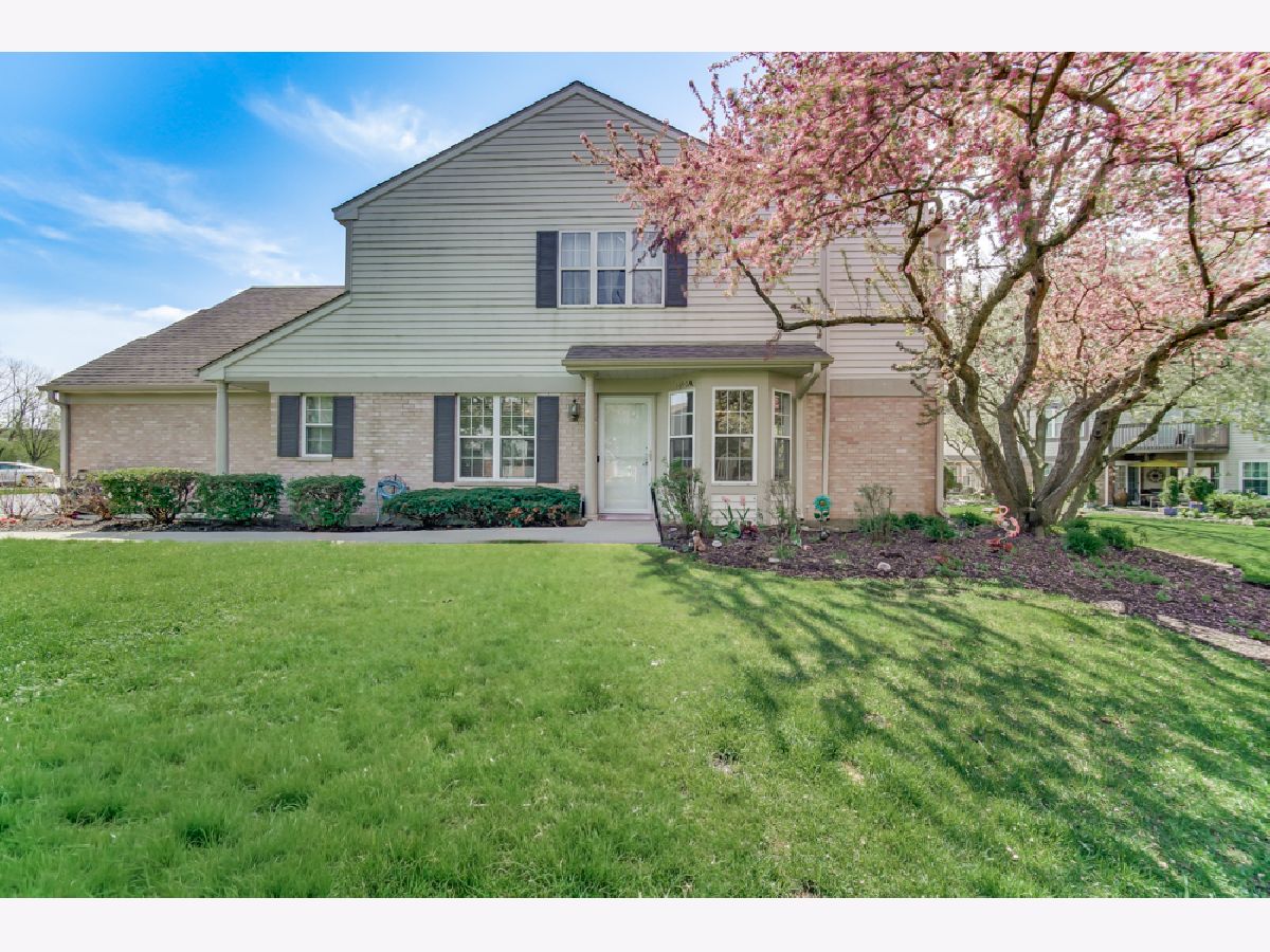 Townhomes & Condos For Sale Briar Pointe Schaumburg Illinois, 1650 Grove Avenue